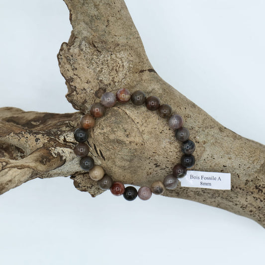 Bracelet Perles Bois Fossile 08mm A