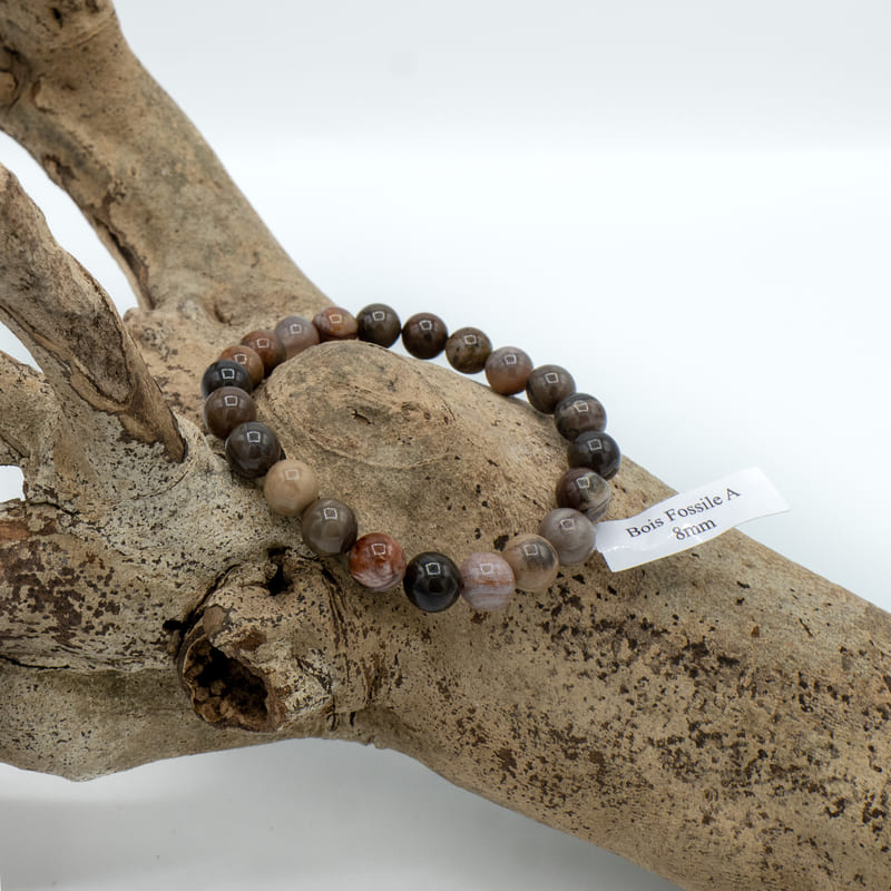 Bracelet Perles Bois Fossile 08mm A
